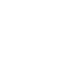 VitePress